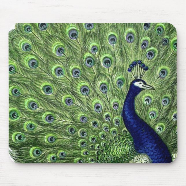 Hübscher Pfau Mousepad (Vorne)