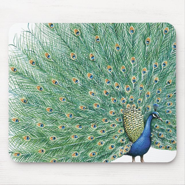 Hübscher Pfau Mousepad (Vorne)