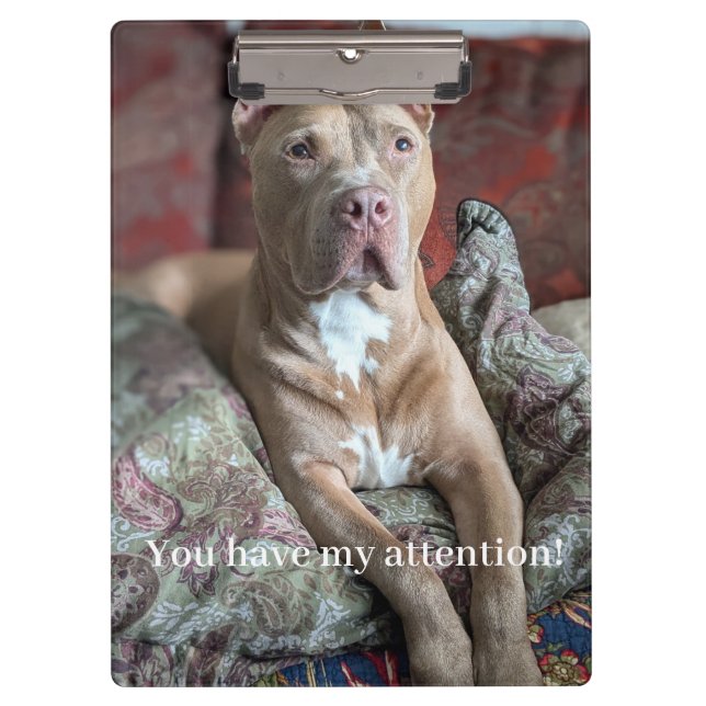 Hübscher Pit Bull Klemmbrett (Vorderseite)