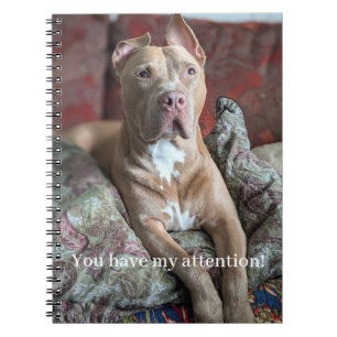 Hübscher Pit Bull Notizblock