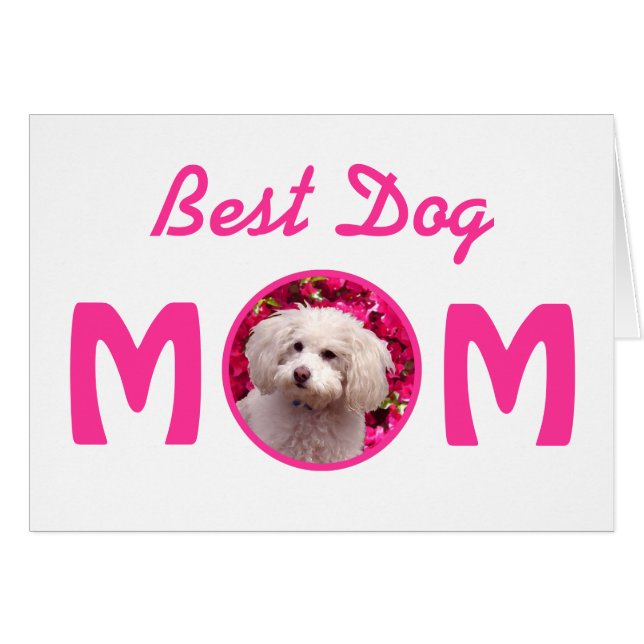 Hübscher Pudel (Vorderseite (Horizontal))