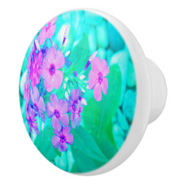 Hübscher Rosa Garten Phlox Blume Aquamarine Keramikknauf