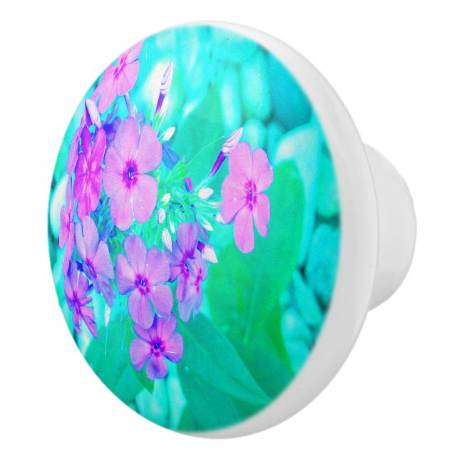 Hübscher Rosa Garten Phlox Blume Aquamarine Keramikknauf (Rechts)