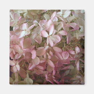 Hübscher rosa Hydrangea-Magnet Magnet