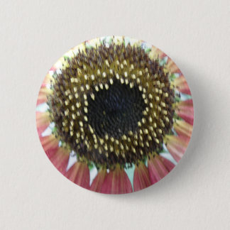 Hübscher rosa Sonnenblumenknopf Button