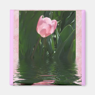 Hübscher rosa Tulpe-Magnet Magnet