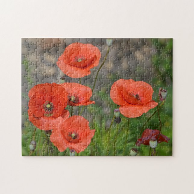 Hübscher Roter Mohn Puzzle (Horizontal)