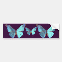 Hübscher schillernder blauer Schmetterling