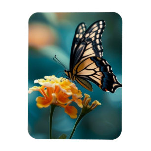 Hübscher Schmetterling auf einer Blume Magnet