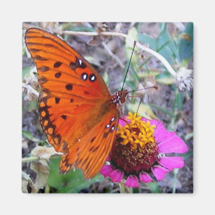 Hübscher Schmetterling Magnet