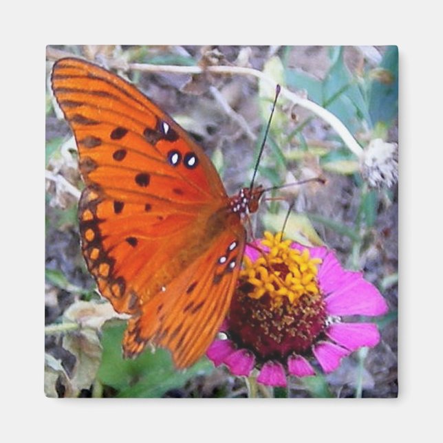 Hübscher Schmetterling Magnet (Vorne)