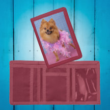 Hübscher Spitz Brieftasche, trägt rosa Federboa
