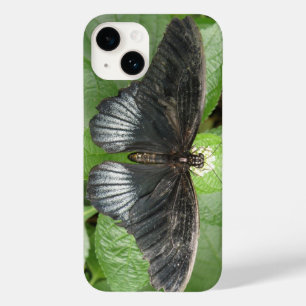 Hübscher Tropenschmetterling und Blume Case-Mate iPhone Hülle