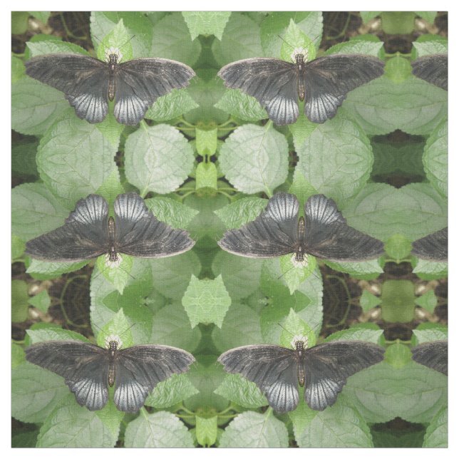 Hübscher Tropenschmetterling und Blume Gemustert Stoff (Muster)
