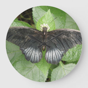 Hübscher Tropenschmetterling und Blume-Wall-Uhr Große Wanduhr
