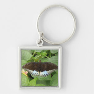 Hübscher tropischer Schmetterling-Schlüsselanhänge Schlüsselanhänger