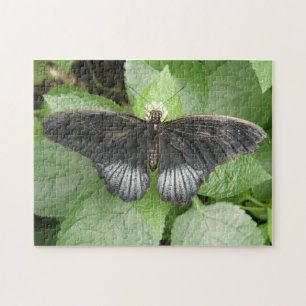 Hübscher tropischer Schmetterling und Blume Puzzle