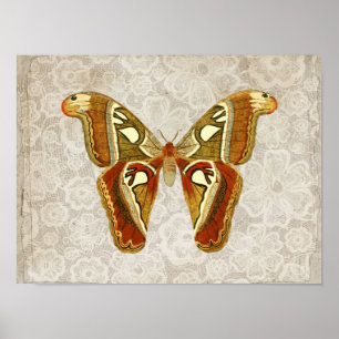 Hübscher Vintager Moth Botanical Poster
