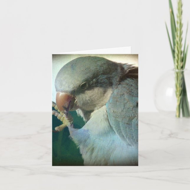 Hübscher Vogel, Geburtstag Karte (Vorderseite)