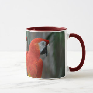 Hübscher Vogel Tasse