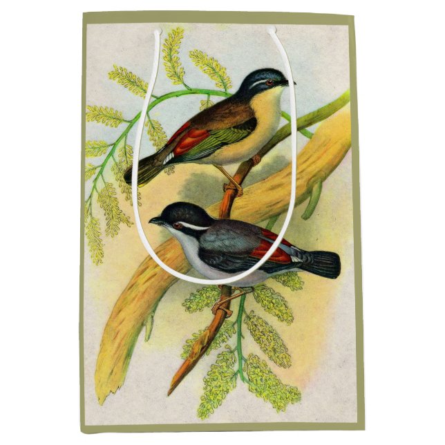 hübscher Vogeldruck Mittlere Geschenktüte (Vorderseite)