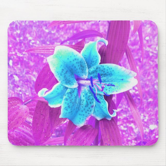 Hübsches Aqua Blue Stargazer Livio Lila Mousepad (Vorne)