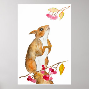 Hübsches Aquarellhörnchen auf einem Zweig mit Beer Poster