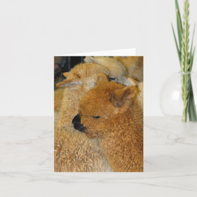 Hübsches Baby Karte (Vorderseite)