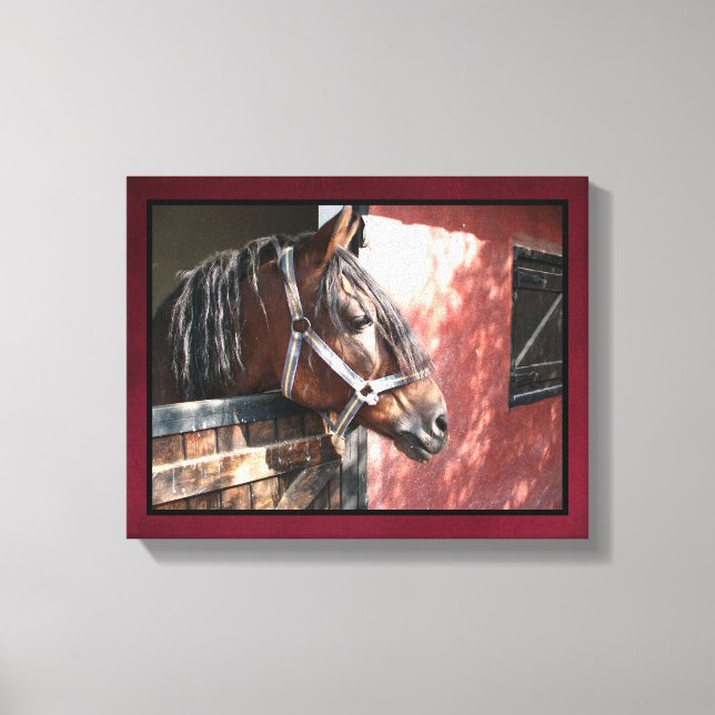 Hübsches Bay Horn im sonnigen Stall Leinwanddruck (Vorderseite)