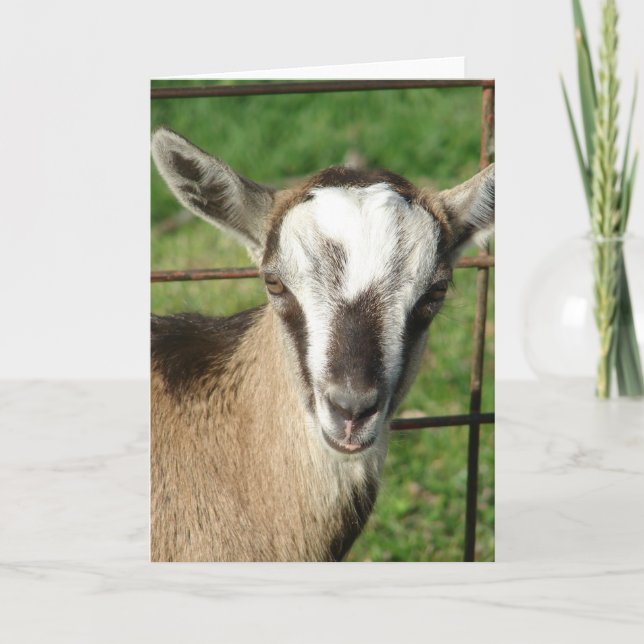 Hübsches Billy Kid Karte (Vorderseite)