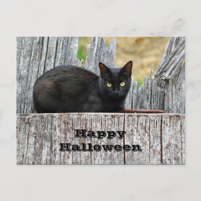 Hübsches Black Cat Log Foto Halloween Postkarte (Vorderseite)