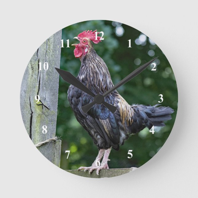 Hübsches Black Rooster Crowing Foto Runde Wanduhr (Vorderseite)