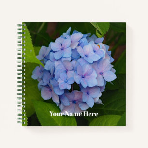 Hübsches Blau- und Rosa-Hydrangea-Foto Notizbuch