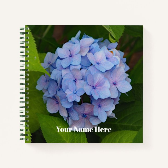 Hübsches Blau- und Rosa-Hydrangea-Foto Notizbuch (Vorderseite)
