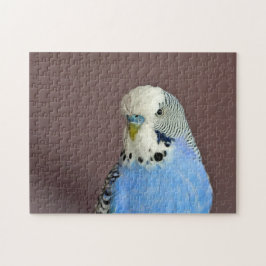 Hübsches Blaues Parakeet Foto Jigsaw Puzzle