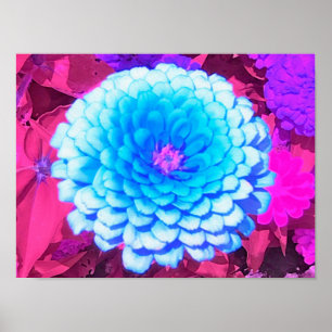 Hübsches blaues Zinnia im Lila Sommergarten Poster