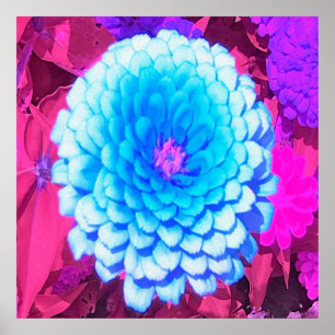 Hübsches blaues Zinnia im Lila Sommergarten Poster