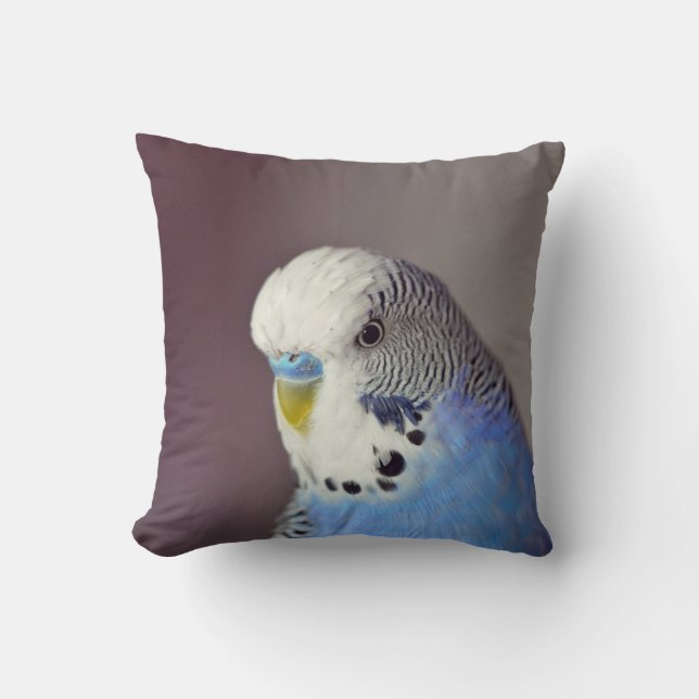 Hübsches Blue Budgie Foto Kissen (Vorderseite)