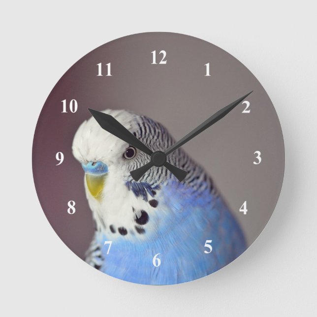 Hübsches Blue Budgie Foto Runde Wanduhr (Vorderseite)