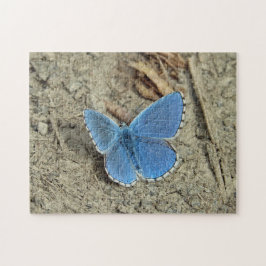 Hübsches Blue Butterfly-Foto Puzzle