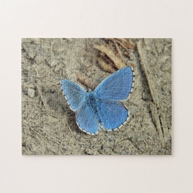 Hübsches Blue Butterfly-Foto Puzzle (Horizontal)