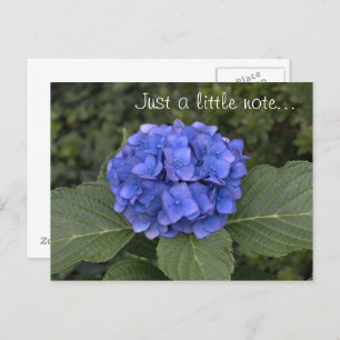 Hübsches Blue Hydrangea, nur ein kleiner Hinweis Postkarte
