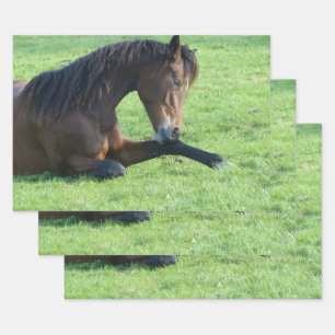 Hübsches braunes Pferd im Gras Geschenkpapier Set