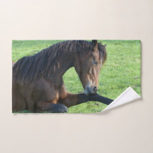 Hübsches braunes Pferd im Gras Handtuch