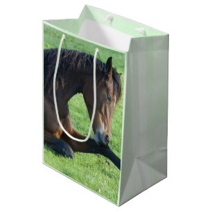 Hübsches braunes Pferd im Gras Mittlere Geschenktüte