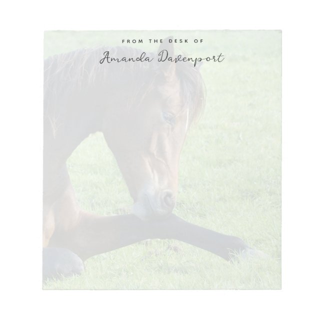 Hübsches braunes Pferd im Gras Notizblock (Vorderseite)