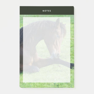 Hübsches braunes Pferd im Gras Post-it Klebezettel