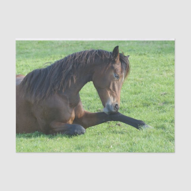 Hübsches braunes Pferd im Gras Seidenpapier (Vorderseite)