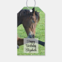 Hübsches braunes Pferd im Gras zum Geburtstag