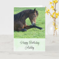Hübsches braunes Pferd im Gras zum Geburtstag